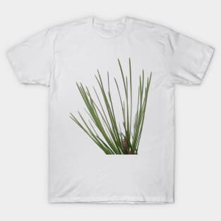 Pine needle T-Shirt